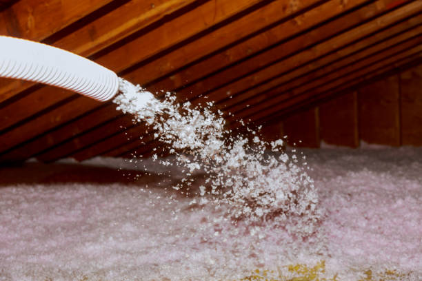 Best Spray Foam Insulation  in Willis, TX