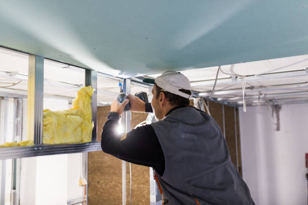 Best Insulation Contractors for Homes  in Willis, TX