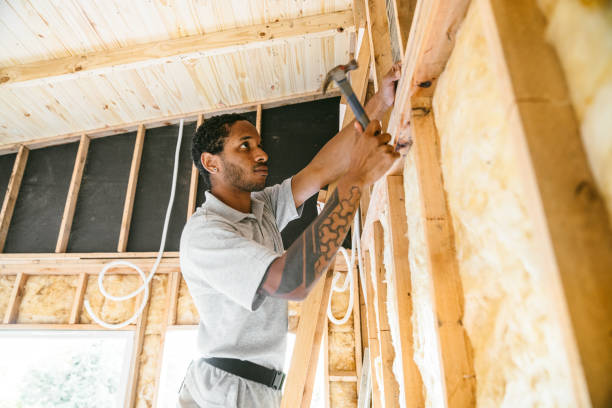 Best Spray Foam Insulation  in Willis, TX