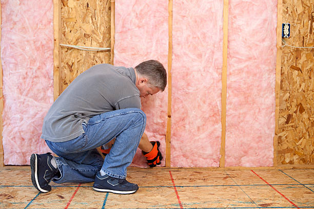 Best Insulation Replacement Services  in Willis, TX