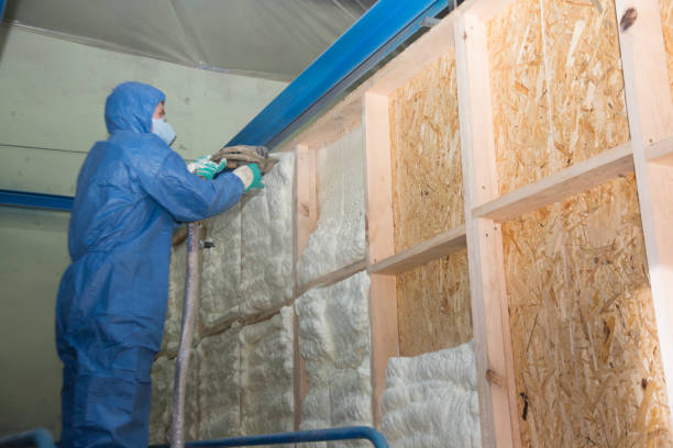 Best Cellulose Insulation  in Willis, TX