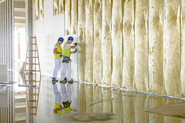 Best Insulation Inspection Services  in Willis, TX